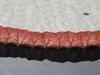 Victoria 'Longwood Hybrid' close up leaf cupped edge