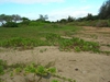 Habitat