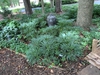 Used in the landscape