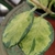 variegated leaves--dark green, pale green, and cream