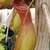 Close-up view of leaf tip, tendril, and  greenish-red pitcher