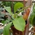close-up of hanging pot