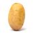 Solanum tuberosum