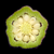 Thin green hexagonal flesh with white round seeds inside fruit