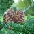 Upright brown cones with conspicuous bracts with curled tips