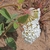Spear shaped opposite leaves on hairy sticky stems and flower