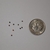 Tiny brown shiny seeds