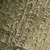 Bark showing islands of olive-green & longitudinal brown furrows