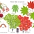 Illustration of all the details of this species.