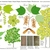 Illustration of all the details of this species.