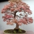 Maple tree used as a bonsai
