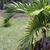 Form