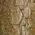 Bark