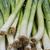 Leeks