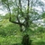 Form