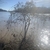 Form in Jan, grow along a lake
