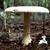 Amanita chlorinosma full