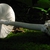 Form