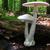 Amanita bisporigera