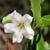 Form