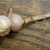 Rounded storge structure at base of stem