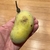 Hand holding an oblong greenish yellow fruit.