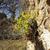 Habitat stone wall