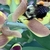 Large bee probing the flower.