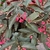 dark green leaves with silver spots, and reddish-pink flowers