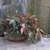 Potted plant with palmately lobed leaves.