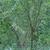 Form
