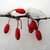 Showy red fruits.