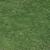 Tifway Bermuda Lawn