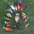Beta vulgaris (Garden Beet Group)