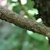 Branch in September in Elmore County, Alabama