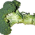 Green head of broccli and stem