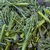 Picked bunch of broccolini