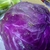 Red head of cabbage