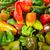 Capsicum annuum