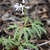 Form - Warren Co., NC