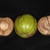 Stages of fruit (Guilford County, NC)-Early Fall