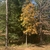 Form in October