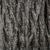 Bark close-up (Guilford County, NC)-Early Fall