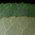 Serrated margins (Guilford County, NC)-Early Fall