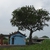 Form