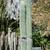 Cephalocereus Senilis