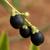 Fruit