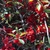 Chaenomeles japonica flowers and stems JCRA