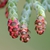 Pollen (male) cones closeup