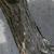 Bark